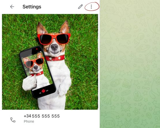 Configuraciones Telegram Web